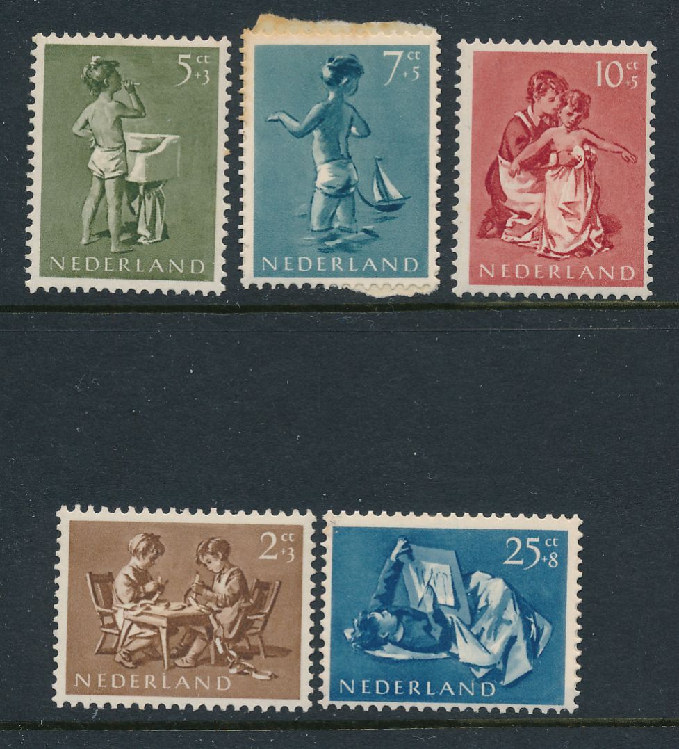 bov00022 1.jpg